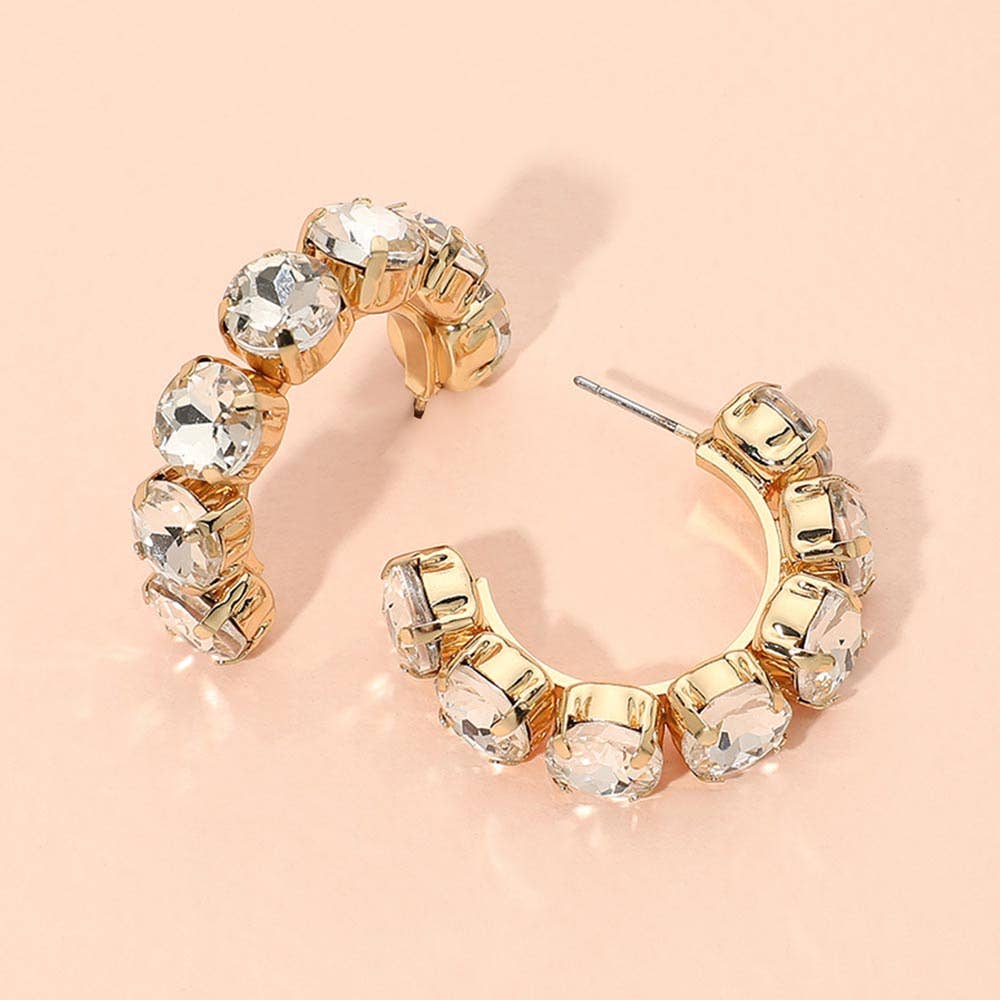 Faceted Round Stone Hoop Earrings