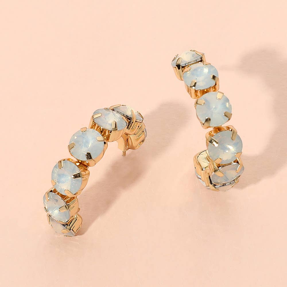 Faceted Round Stone Hoop Earrings