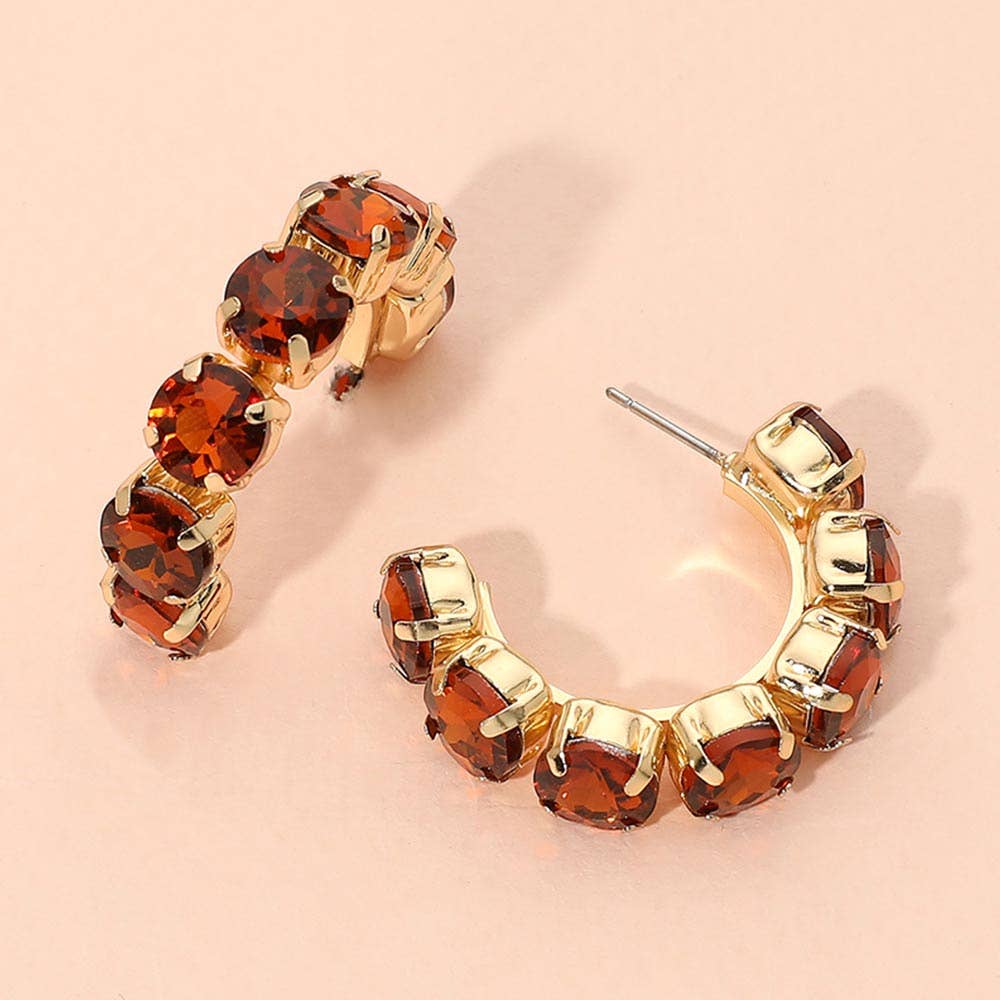 Faceted Round Stone Hoop Earrings