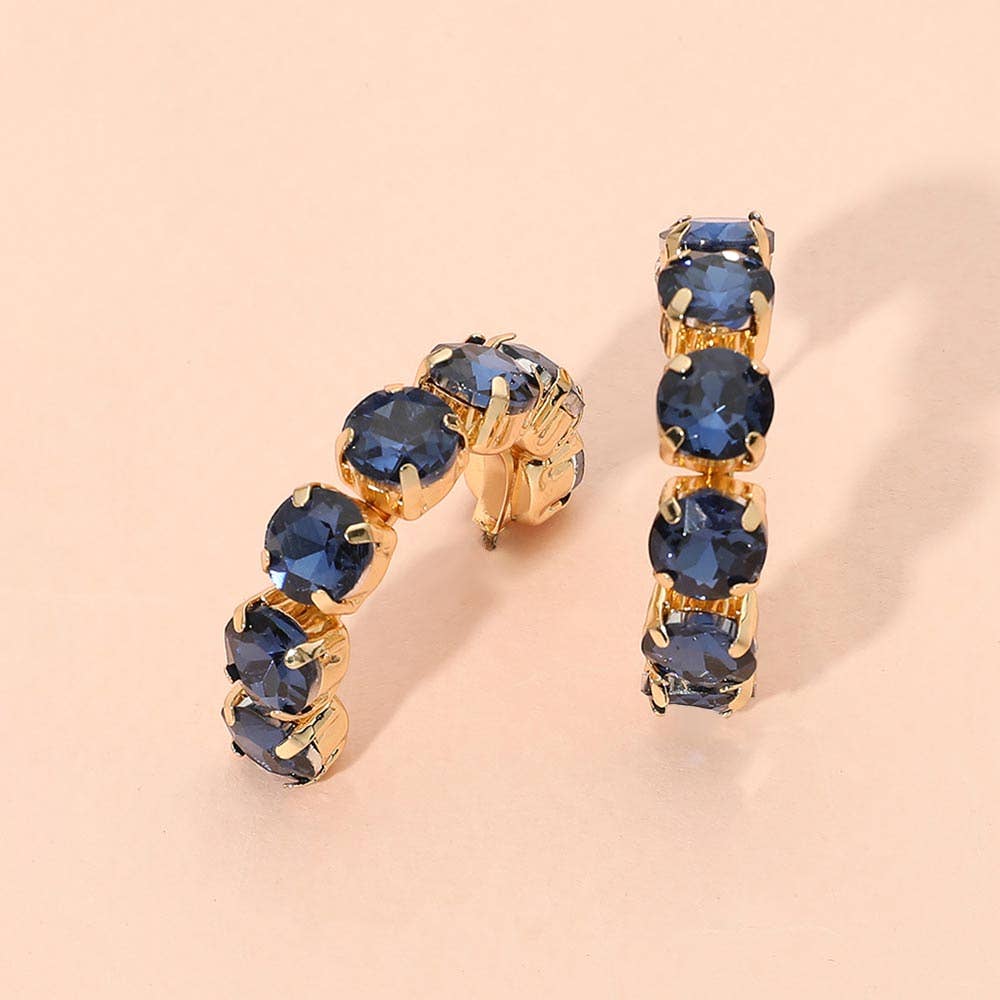 Faceted Round Stone Hoop Earrings