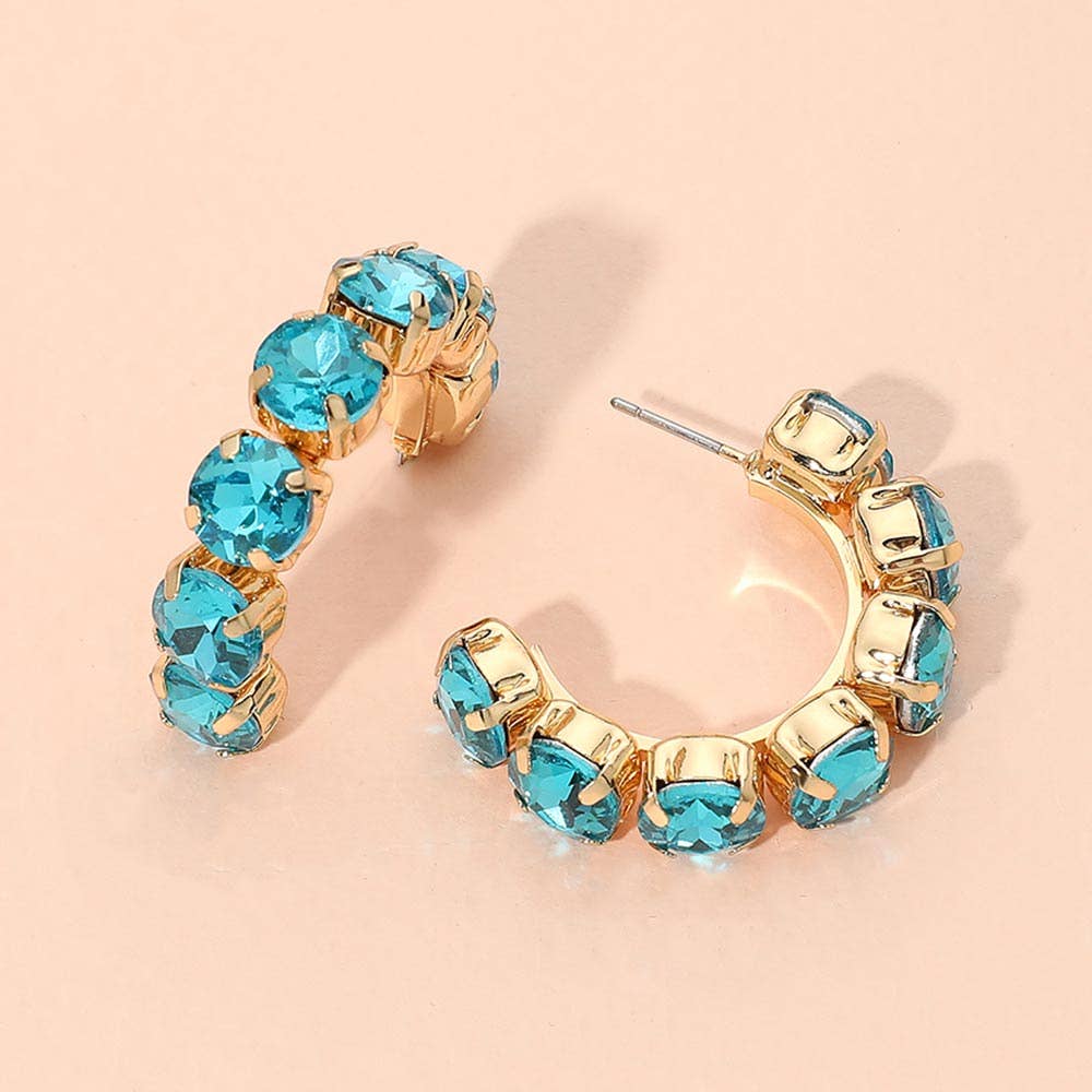Faceted Round Stone Hoop Earrings